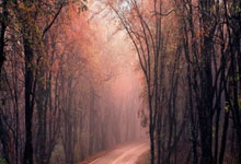 科尔威尔:主队球迷帮我们渡过难关,我们需要这样回击热刺球迷.