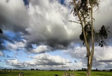 NG28：欧文：踢印尼在开局不利的情况下，能回应并打进五球令人满意.